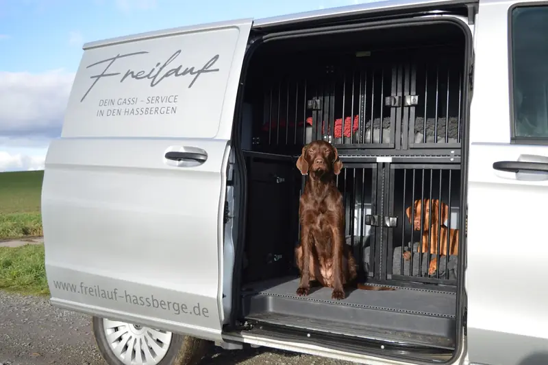 Fahrzeugausbau mit Hundeboxen von SSBI, Beispiel 2