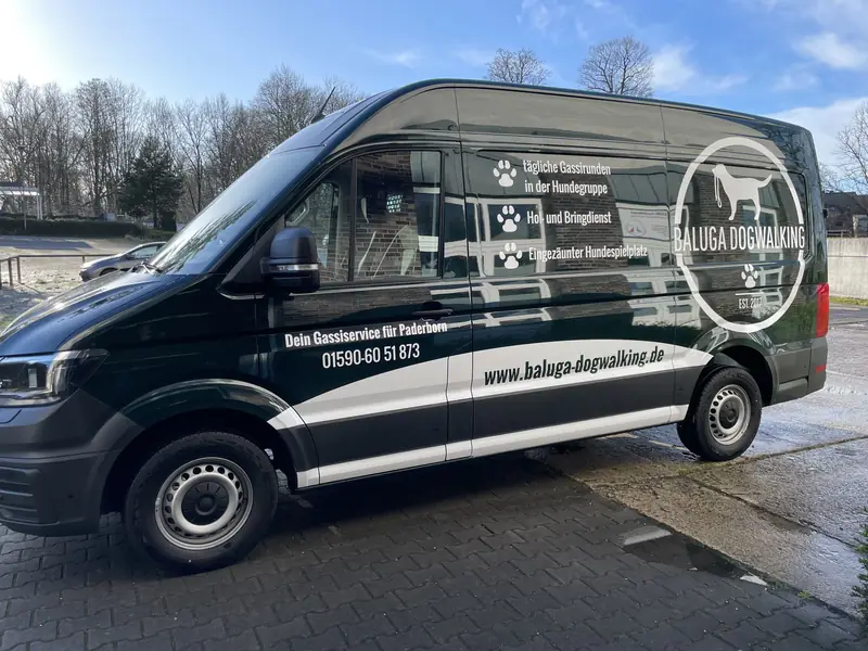 Fahrzeugausbau mit Hundeboxen von SSBI, Beispiel 3