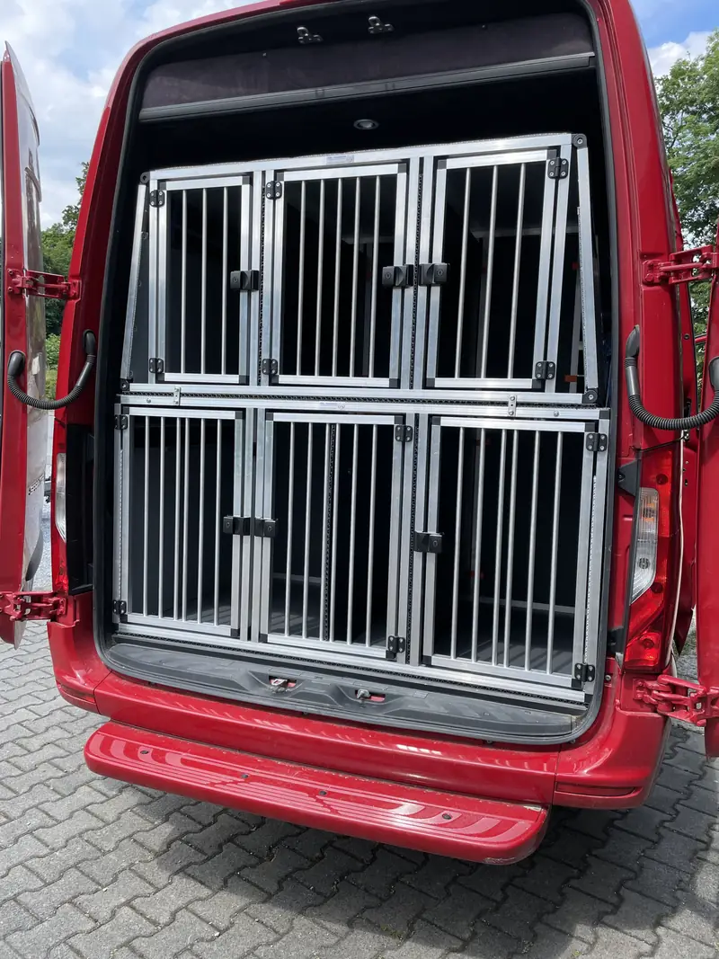 Doppelstock-Box von SSBI im Fahrzeug, Beispiel 5