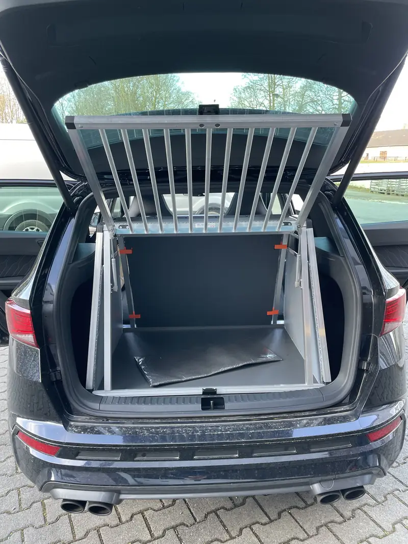 Einzelbox von SSBI im Kofferraum, Beispiel 7
